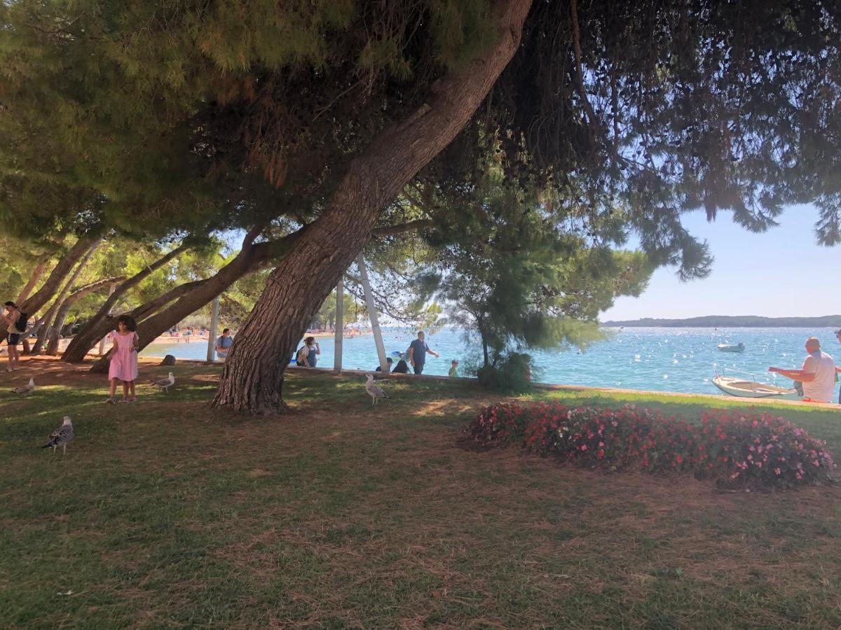 Istrian Stone House In The Heart Of The Beautiful Fishing Village Fazana - Only Few Steps From The Sea And The Wonderful Beach - Incl Plasma-Quad-Plus-Filter Against C O V I D Eksteriør bilde